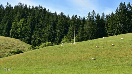 Fototapeta na wymiar pleasant landscape of Beskydy mountain range near village Velke Karlovice