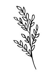 Leaf, herbs grass hand drawn doodle sketch. Vector illustration single of cartoon botanical plant. Isolated on white background.