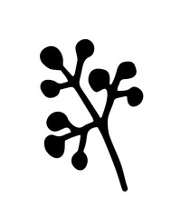 Leaf, herbs grass hand drawn doodle sketch. Vector illustration single of cartoon botanical plant. Isolated on white background.