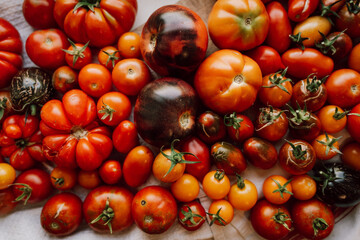 Tomaten