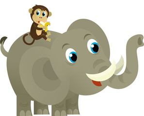 Cartoon wild animal happy young elephant on white background - illustration for the children