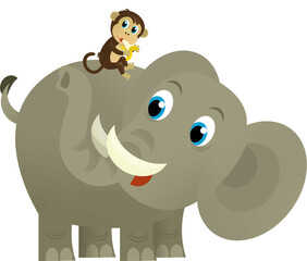 Cartoon wild animal happy young elephant on white background - illustration for the children