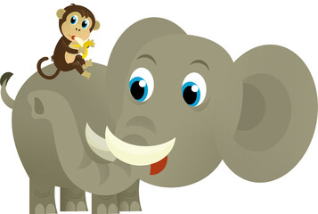 Cartoon wild animal happy young elephant on white background - illustration for the children