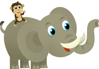 Cartoon wild animal happy young elephant on white background - illustration for the children