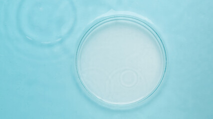 Petri dish empty against the background of blue water