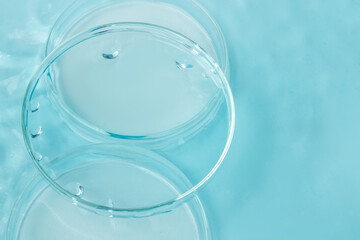 Set of laboratory utensils empty Petri dish, flasks, jars on the background of blue water