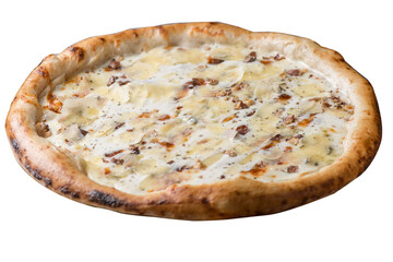 Cheesy pizza with several types of cheese