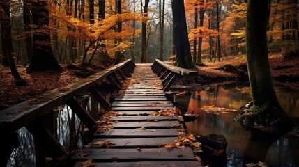 Fototapeta na wymiar Natural scenery in the fall. colors of autumn in the forest. Autumn scene with a wooden bridge crossing a stream in a dense forest.