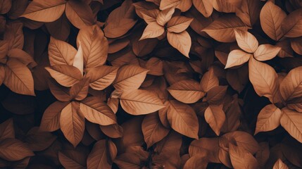 Autumn foliage with brown plant leaves against a brown background