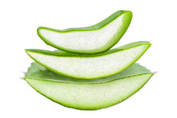 Slides, pieces of green fresh aloe vera. On a blank background. PNG