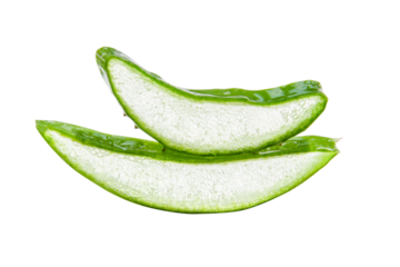 Slides, pieces of green fresh aloe vera. On a blank background. PNG