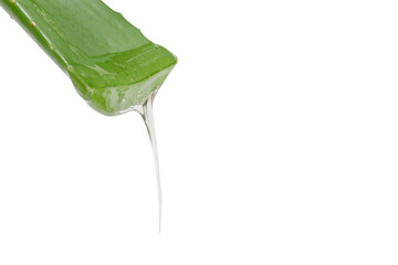 Leaf of green fresh aloe vera with dripping clear gel. On a blank background. PNG