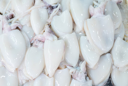 Fresh white squid on a tray. Close-up squid or splendid squid ,Lined up beautifully on a stall in fishery market. selective focus