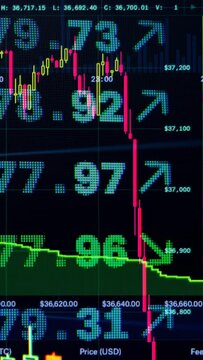 financial and trading in vertical