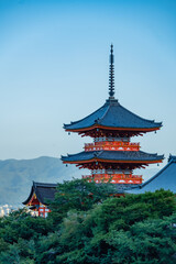 Fototapeta premium 清水寺の三重塔