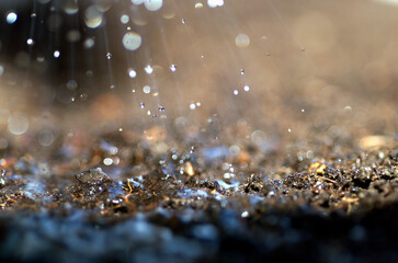Close up detail of water from a garden sprinkler falling and drops bouncing off the soil