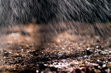 Water from a garden sprinkler falling and drops bouncing off the soil