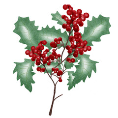 holly leaves and berries