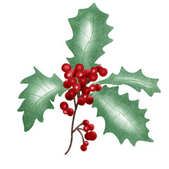 holly leaves and berries