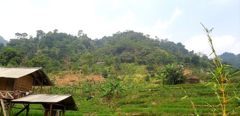 Beautiful View from Adventure to Explore Curug Cibaliung, Sentul, Bogor, West Java, Indonesia