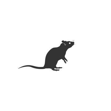 Standing Rat silhouette. Rat icon. vector sign
