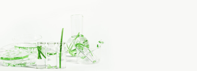 organic cosmetics, natural cosmetics, biofuels, algae. Natural green laboratory. Experiments. Laboratory glassware and containers with green plants on a light background.