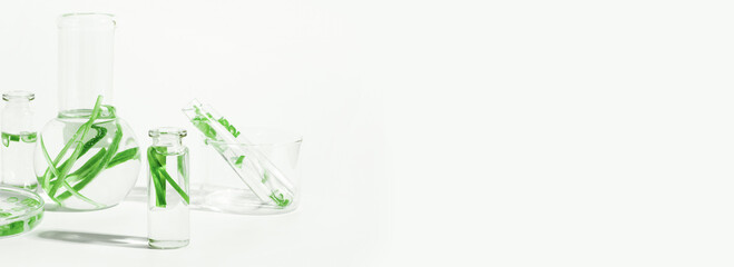 organic cosmetics, natural cosmetics, biofuels, algae. Natural green laboratory. Experiments. Laboratory glassware and containers with green plants on a light background.