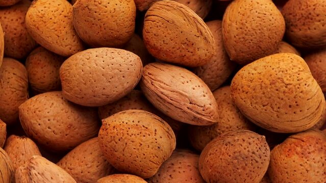 apricot kernel , rotation in circle. dried apricot kernels with nut ,Turning. selective focus.	