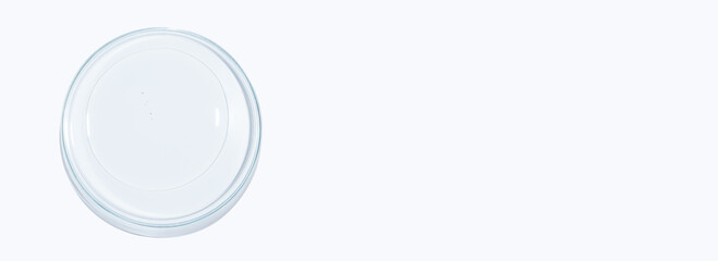 Petri dish with transparent gel on a white background. Empty space