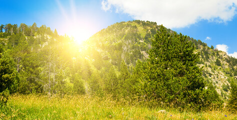 Picturesque mountain slopes with forests and sunrise. Wide photo.