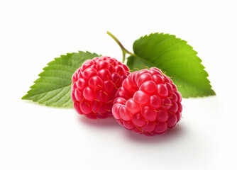 Raspberry with leaves isolated on white background. Red raspberries with green leaf.
