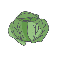 Cauliflower Healthy Vegetable Vegetarian Ingredients