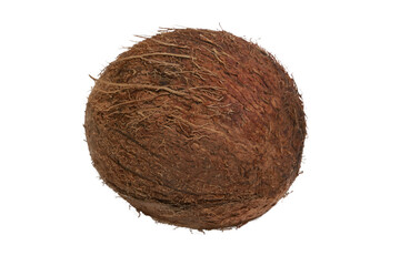 A whole fresh coconut in its shell on a blank background. PNG