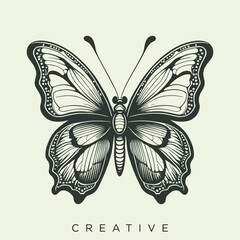 beauty butterfly  logo design vector icon