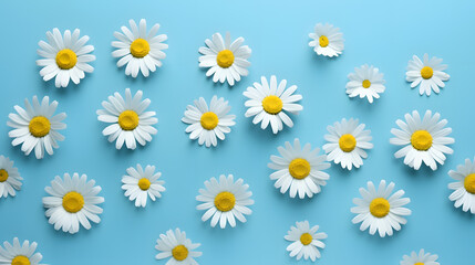 Daisy Delight: Chamomile Flowers in a Beautiful Spring Pattern