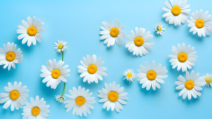 Daisy Delight: Chamomile Flowers in a Beautiful Spring Pattern