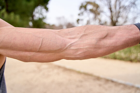 close-up detail of a strong Caucasian male arm showing muscles and veins