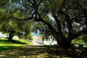 Santuario di N.S dell' Annunziata (S' Annossata) Bitti, Provincia di Nuoro, Sardegna. Italy