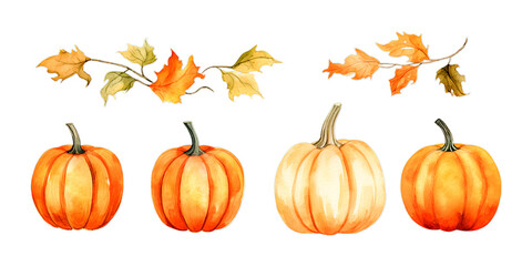 Collection of pumpkins watercolor	