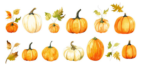 Watercolor pumpkin and halloween decor on white	