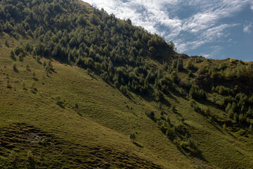 Green steep hills in the Caucasus mountains covered by forest on a sunny autumn day