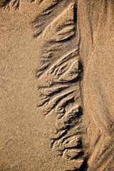 Sand formation on the beach of Veules-les-roses at low tide, Normandy, France