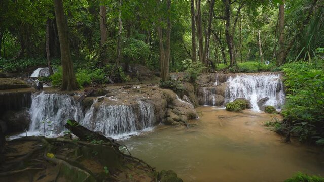 waterfall stream on nature clear flow motion water and green jungle to tree roots in natural forest or rainforest at Kroeng Krawia waterfall in Thailand on rainy season for wild landscape background