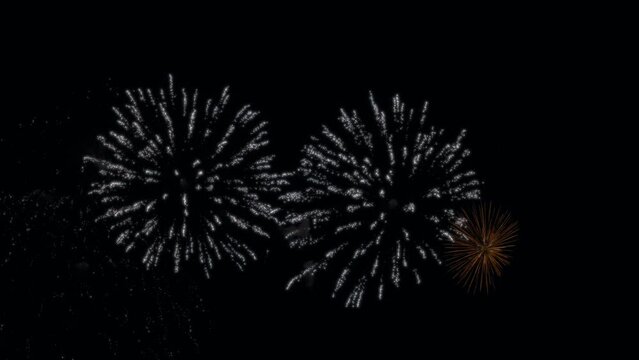 Fireworks lighting up the night sky. Slow motion. 