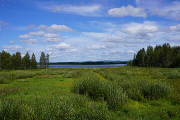 Blick über die Wiesen auf einen See in Schweden im Sommer