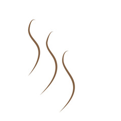 Brown Hot Steam Icon