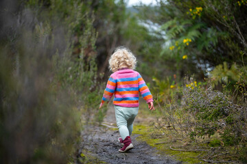 Naklejka na ściany i meble toddler exploring in natural in the forest