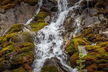 Roadside run off Ice Fields Parkway Banff National Park Alberta Canada