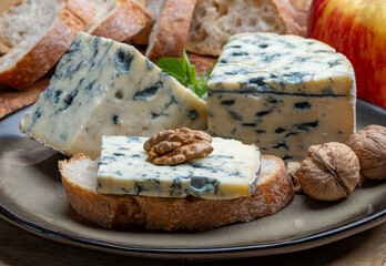 Tasting of cheese, piece of French blue cheese auvergne or fourme d'ambert with blue mold