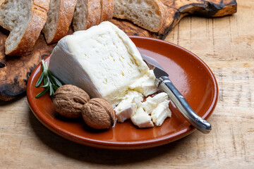 Delice de Bourgogne French cow's milk cheese from Burgundy region of France
